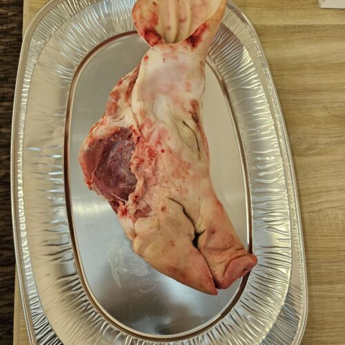 Operative Dermatologie <br> Pig Face Trainingskurs <br> 30.08.26 <br> <br> <br>